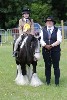 thornton-le-dale-gala showclass7acharity25-5-20213